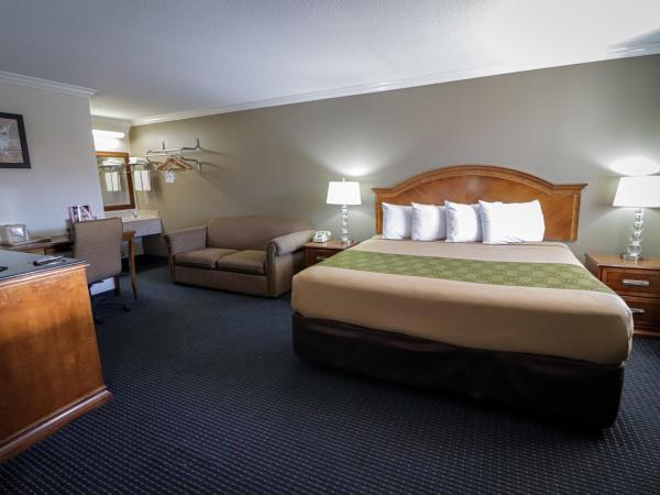 University Inn & Suites : photo 6 de la chambre suite familiale deluxe