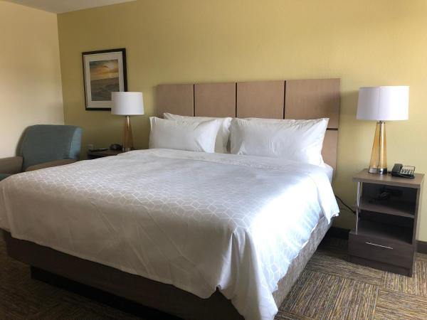 Candlewood Suites - Panama City Beach Pier Park, an IHG Hotel : photo 1 de la chambre suite studio lit king-size