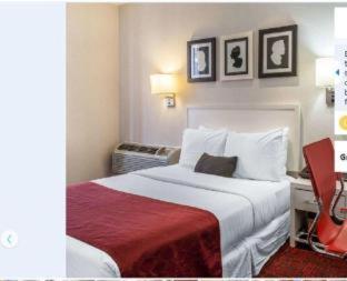 The Moore : photo 1 de la chambre room #2263911