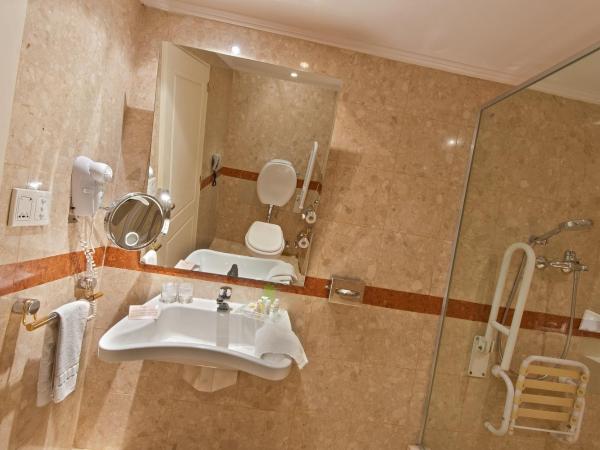 Holiday Inn Cordoba, an IHG Hotel : photo 1 de la chambre chambre lit king-size avec baignoire accessible aux personnes à mobilité réduite