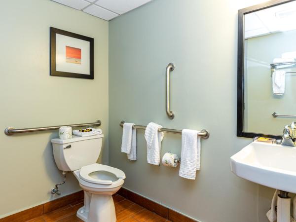 Sandcastle Resort : photo 9 de la chambre chambre lit king-size pour personnes à mobilité réduite - non-fumeurs