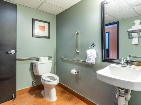 Sandcastle Resort : photo 7 de la chambre chambre lit king-size avec douche accessible en fauteuil roulant - adaptée aux personnes à mobilité réduite