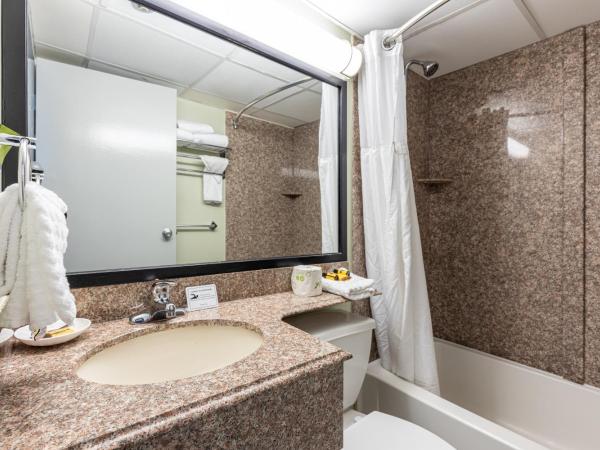 Sandcastle Resort : photo 10 de la chambre chambre avec 2 lits doubles - vue partielle sur océan