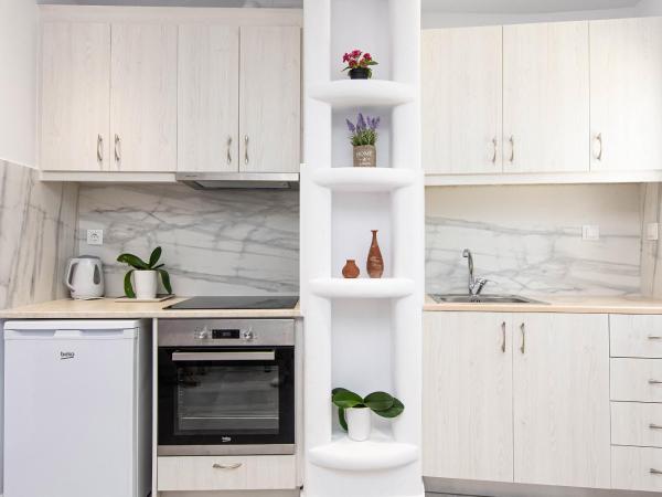 Anius Apartments : photo 7 de la chambre appartement 1 chambre