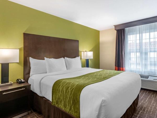 Comfort Inn San Diego Old Town : photo 1 de la chambre chambre lit king-size deluxe avec canapé-lit - non-fumeurs