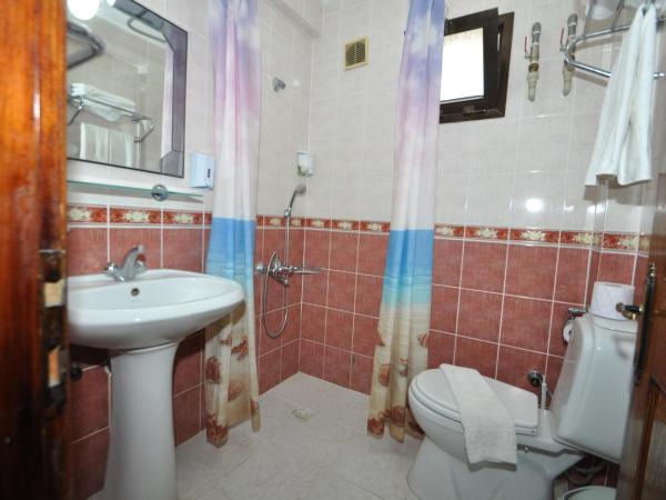 Defne & Zevkim Hotel : photo 5 de la chambre studio avec canapé-lit