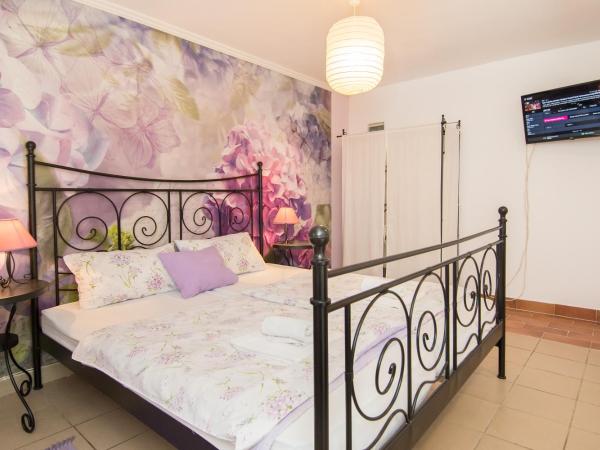 Apartments & Rooms Darrer : photo 1 de la chambre studio avec terrasse