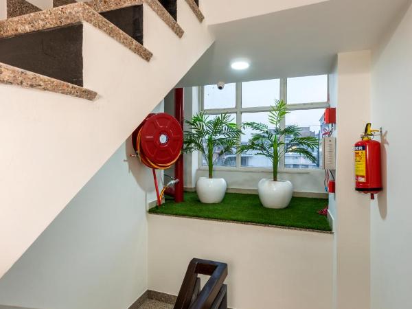 House of Backpackers : photo 10 de la chambre chambre triple avec salle de bains privative