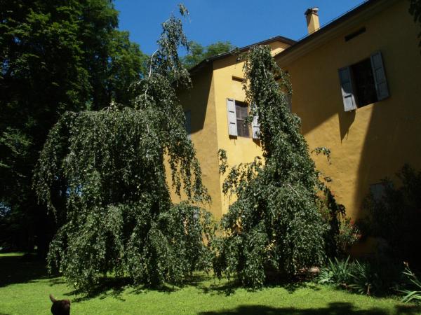 Villa Ghia : photo 10 de la chambre chambre lit king-size - vue sur jardin