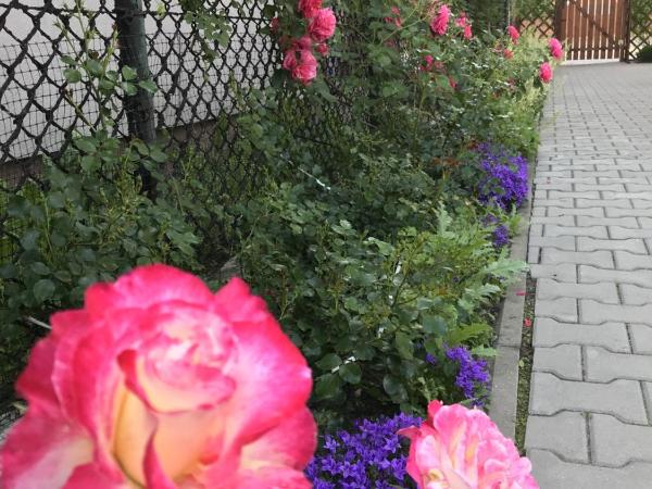 Kathia Pokoje Gościnne : photo 2 de la chambre chambre triple avec salle de bains privative