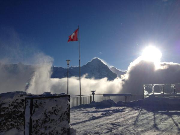 Berggasthaus First - Only Accessible by Cable Car : photo 4 de la chambre lit simple en dortoir