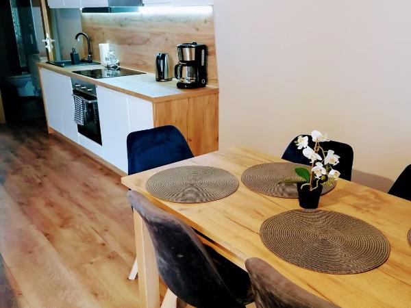 Apartamenty Pruskie : photo 1 de la chambre appartement avec vue sur la montagne