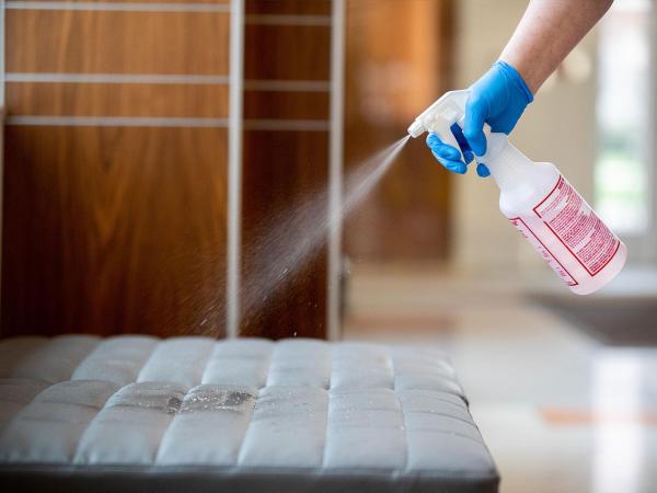 Trimrooms Mount Blue : photo 8 de la chambre chambre double deluxe