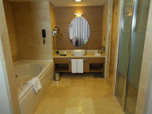 CPAnkara Hotel : photo 3 de la chambre suite