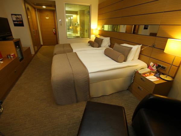 CPAnkara Hotel : photo 9 de la chambre chambre double lit queen-size standard