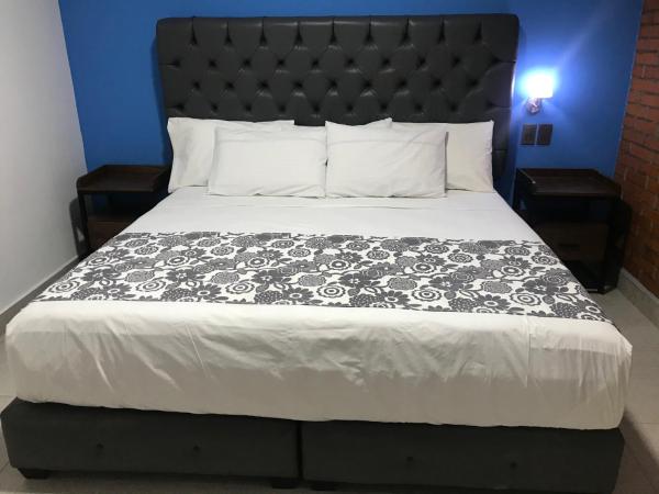 Hotel Jar8 Acuario enfrente al Acuario de Veracruz : photo 3 de la chambre chambre lit king-size deluxe