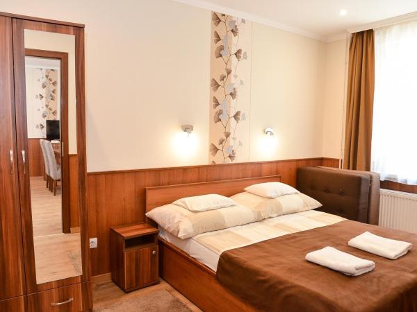 Média Panzió és Apartmanház : photo 1 de la chambre two-bedroom apartment - nr. 3