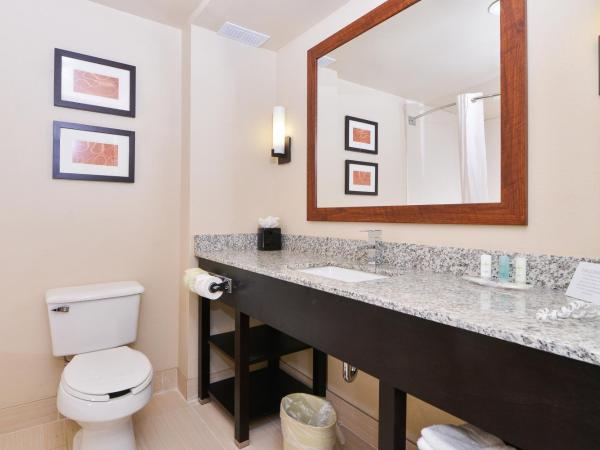 Comfort Suites University - Research Park : photo 5 de la chambre suite lit king-size avec baignoire spa - non-fumeurs