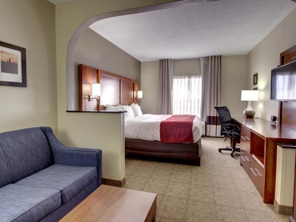 Comfort Suites University - Research Park : photo 4 de la chambre suite lit king-size – non-fumeurs