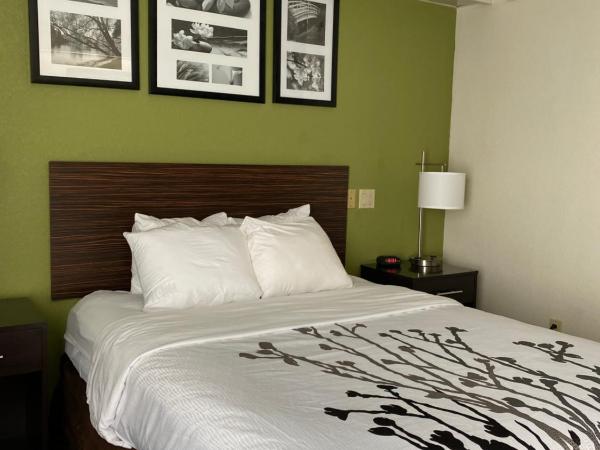 Sleep Inn Louisville Airport & Expo : photo 4 de la chambre chambre lit queen-size accessible aux personnes à mobilité réduite - non-fumeurs