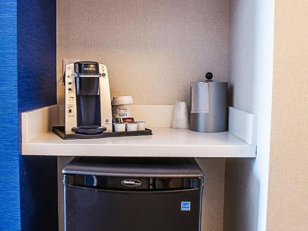 Holiday Inn Express & Suites - Halifax - Dartmouth : photo 1 de la chambre chambre lit king-size standard