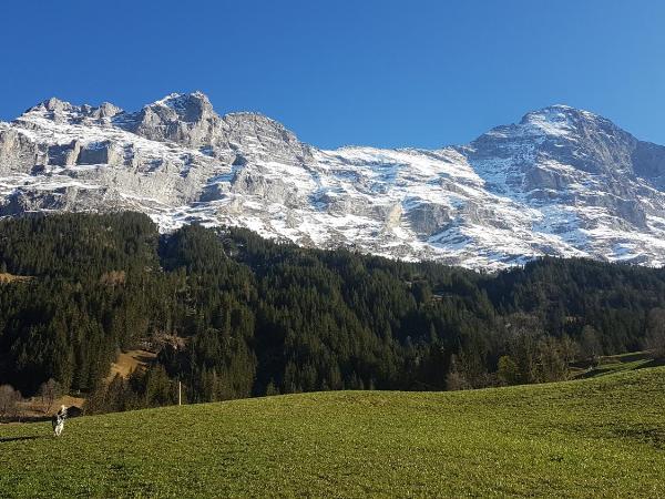 Chalet bei der Arve : photo 1 de la chambre chambre quadruple - vue sur montagnes