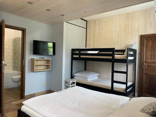 Pension Amadeus & Apartments : photo 3 de la chambre studio