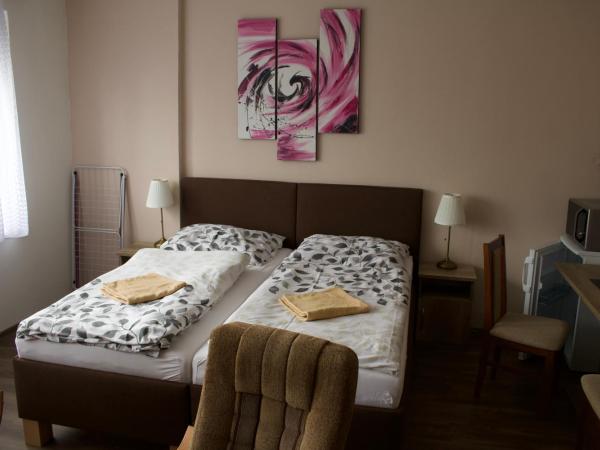 Penzion Pavel : photo 3 de la chambre chambre double ou lits jumeaux avec douche