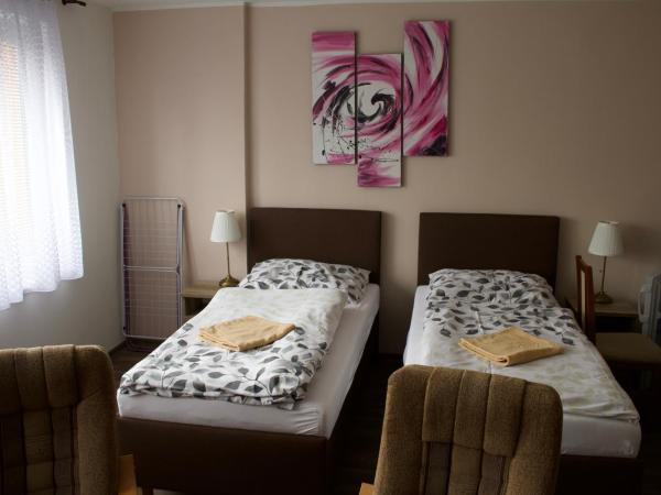 Penzion Pavel : photo 4 de la chambre chambre double ou lits jumeaux avec douche