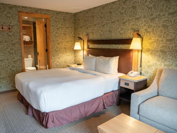 Fox Hotel and Suites : photo 1 de la chambre chambre lit queen-size 