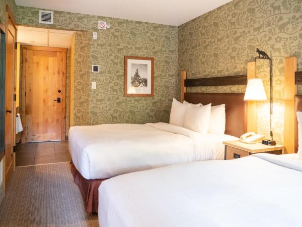 Fox Hotel and Suites : photo 3 de la chambre chambre double avec 2 lits doubles