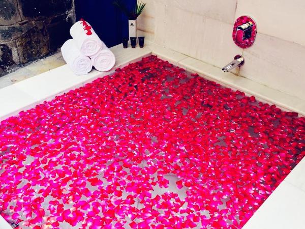 Ramee Royal Resort & Spa - Udaipur : photo 5 de la chambre chambre exécutive avec baignoire