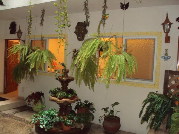 Vallarta Jr Suites in the exclusive Zona Romantica : photo 10 de la chambre chambre double