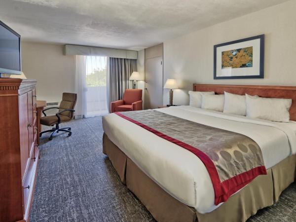 Ramada by Wyndham Albuquerque Midtown : photo 1 de la chambre chambre lit king-size - accessible aux personnes à mobilité réduite - non-fumeurs