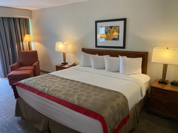 Ramada by Wyndham Albuquerque Midtown : photo 5 de la chambre chambre lit king-size deluxe - non-fumeurs