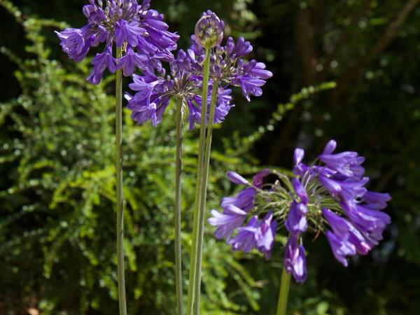 Chambre BEAUSEJOUR : photo 6 de la chambre chambre double avec salle de bains privative