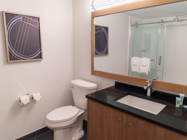 Hotel Indigo Detroit Downtown, an IHG Hotel : photo 9 de la chambre chambre lit king-size standard