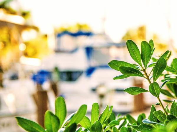 Villa Venezia : photo 10 de la chambre hébergement 1 chambre south beach