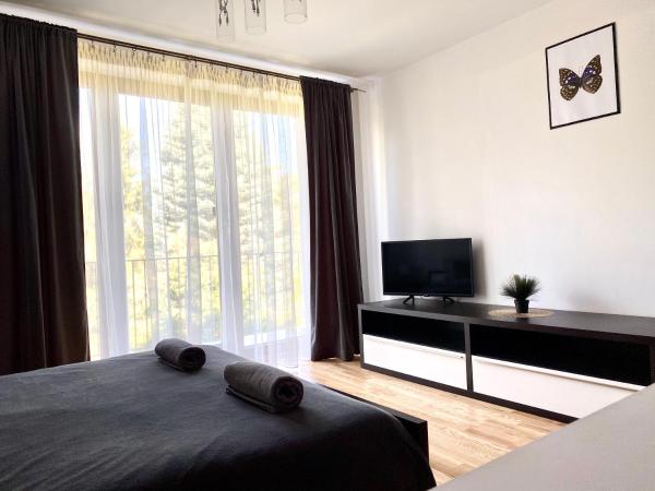 Pokoje Rezydencja Parysa : photo 9 de la chambre chambre king avec balcon et salle de bains commune