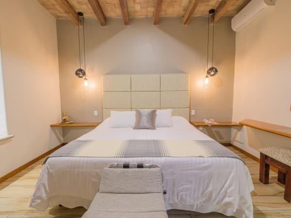 Hotel Casa Vertiz : photo 8 de la chambre chambre lit king-size standard