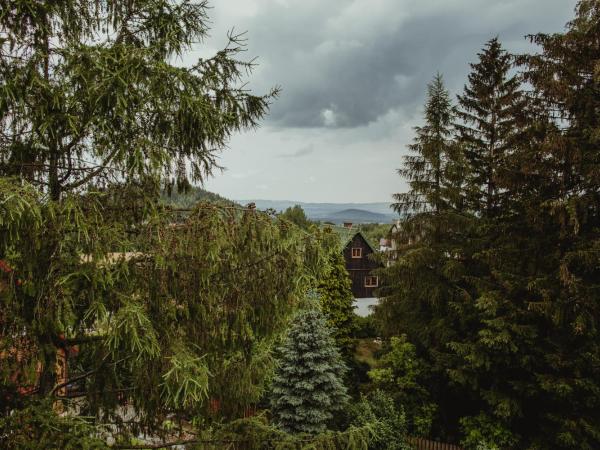 Willa Elżbieta - komfortowy wypoczynek, znakomite recenzje Gości : photo 8 de la chambre chambre double