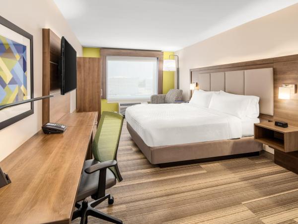 Holiday Inn Express Cruise Airport, an IHG Hotel : photo 1 de la chambre chambre standard