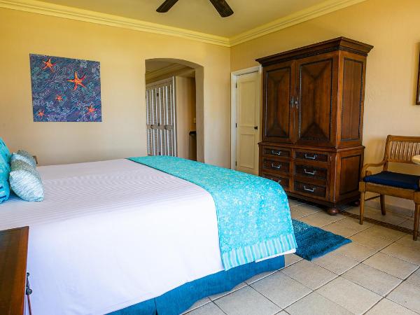 Pierre Mundo Imperial Riviera Diamante Acapulco : photo 2 de la chambre chambre lit king-size deluxe - vue sur océan