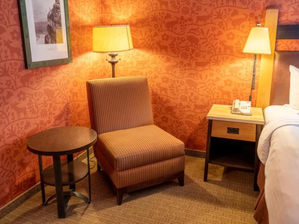 Fox Hotel and Suites : photo 1 de la chambre suite 1 chambre avec lit king-size