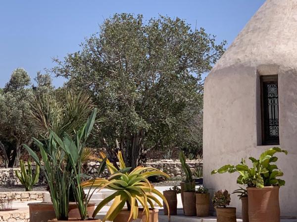 Les Jardins de Villa Maroc : photo 1 de la chambre chambre double