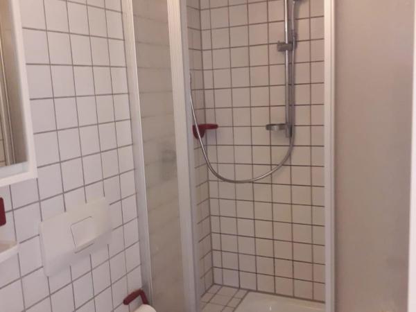 Hotel Waldhorn : photo 5 de la chambre chambre double avec salle de bains privative