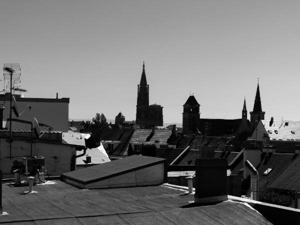Hotel des Vosges BW Premier Collection : photo 7 de la chambre chambre lits jumeaux supérieure - vue sur ville