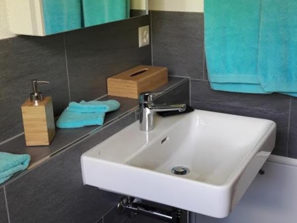 Ferien in der Bergwelt von Adelboden : photo 2 de la chambre chambre double deluxe avec douche