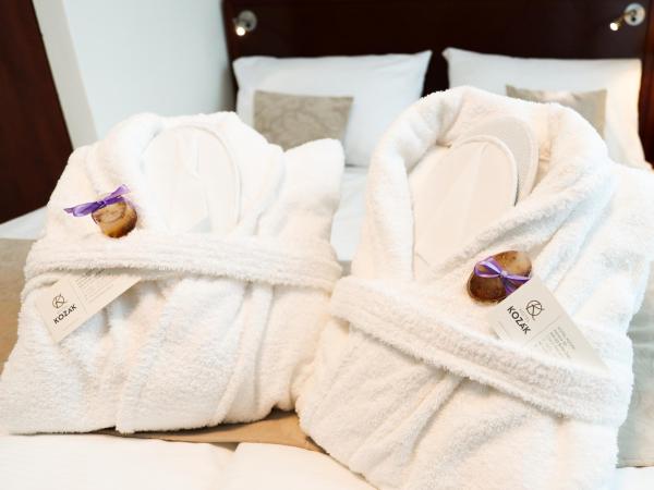 Hotel KOZÁK : photo 9 de la chambre chambre double standard