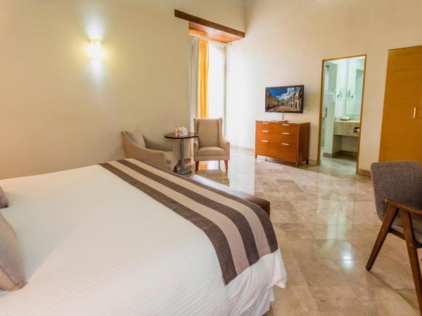 Hotel Parador de Alcalá : photo 2 de la chambre chambre lit king-size supérieure